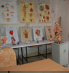 Lab